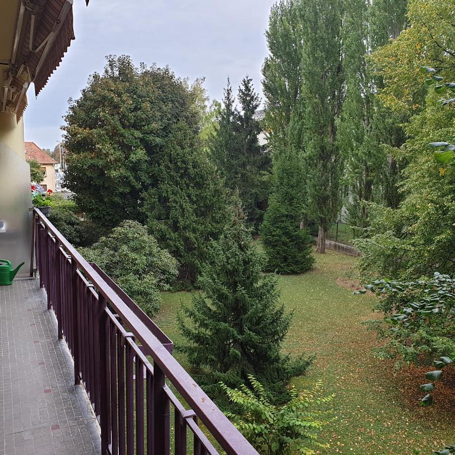 Ferienwohnung Cote Parc Schiltigheim Exterior foto