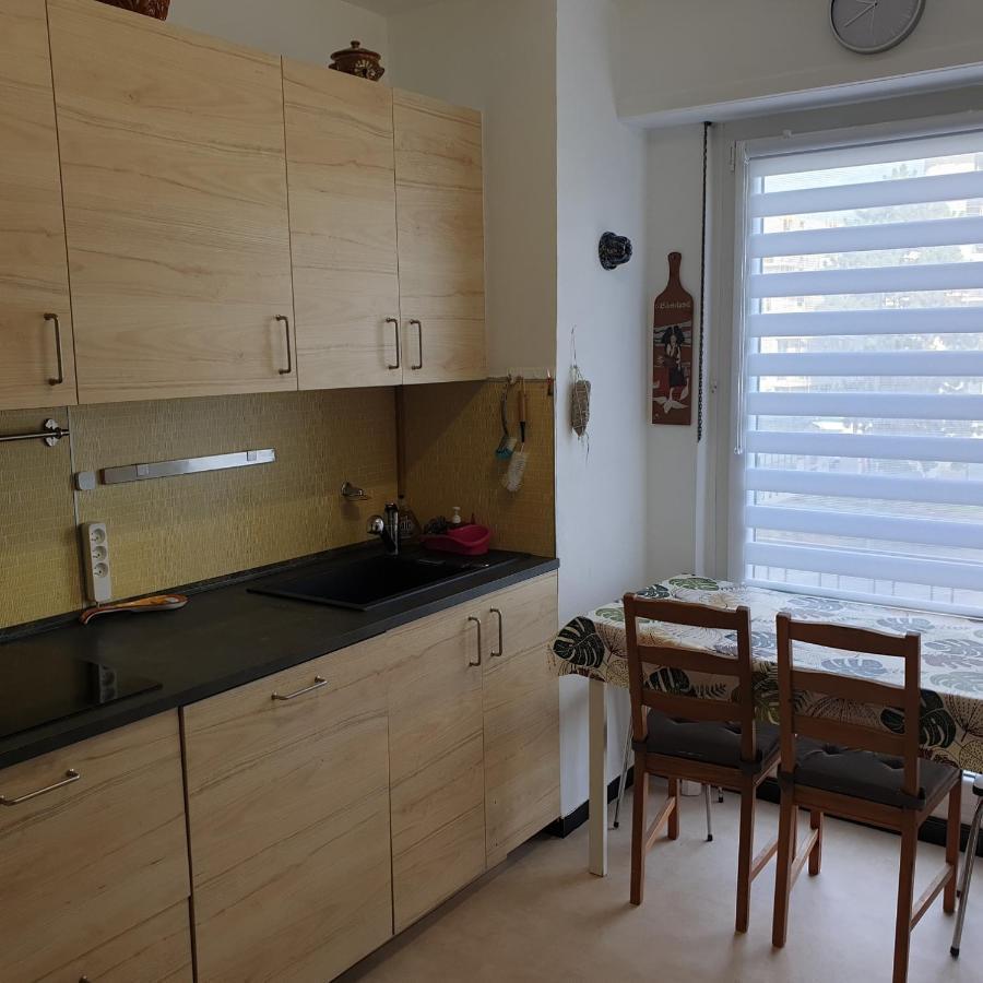 Ferienwohnung Cote Parc Schiltigheim Exterior foto